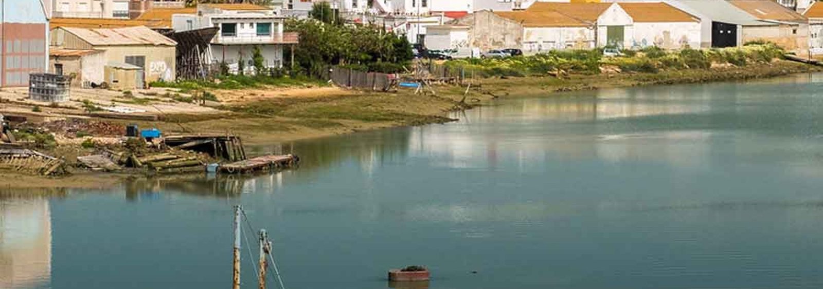 Barbate