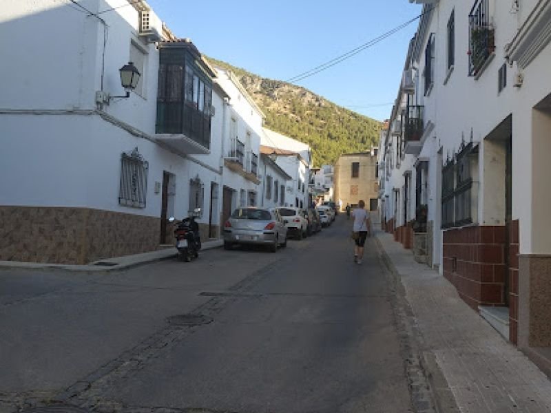 Loft Algodonales
