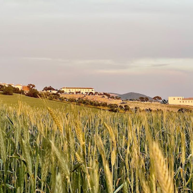 Bodegas Campestral