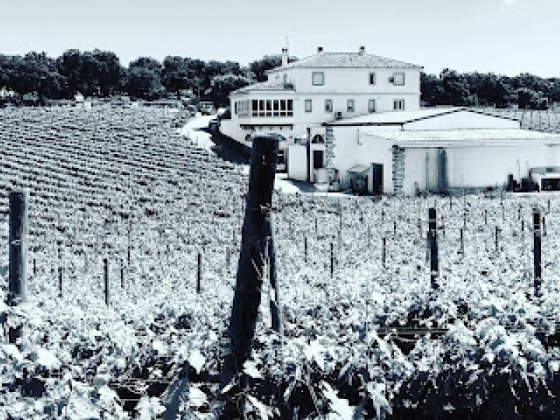 Bodega Dona Felisa – Vinos de Ronda