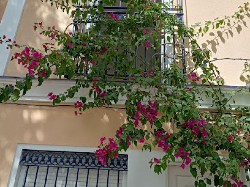 Hostal El Puerto Boutique