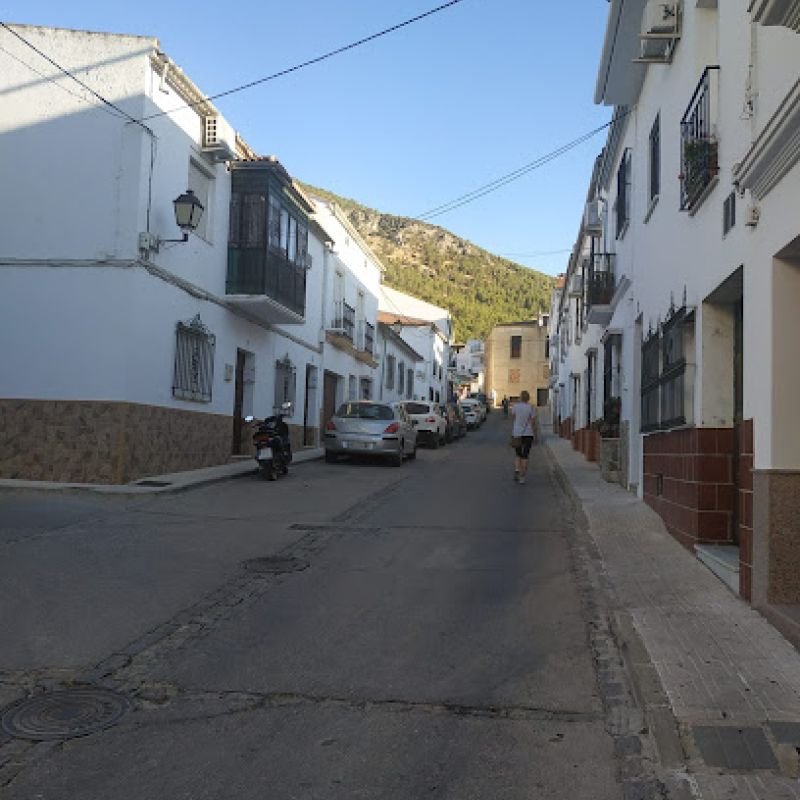 Loft Algodonales