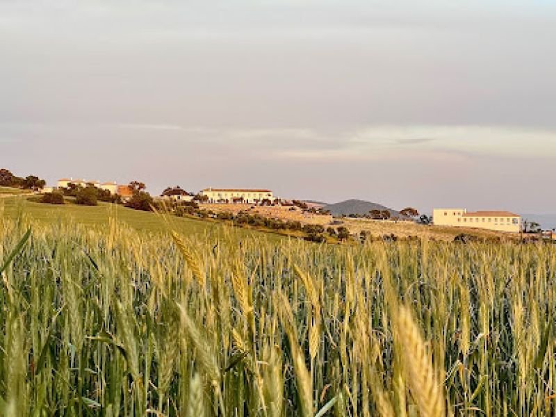Bodegas Campestral