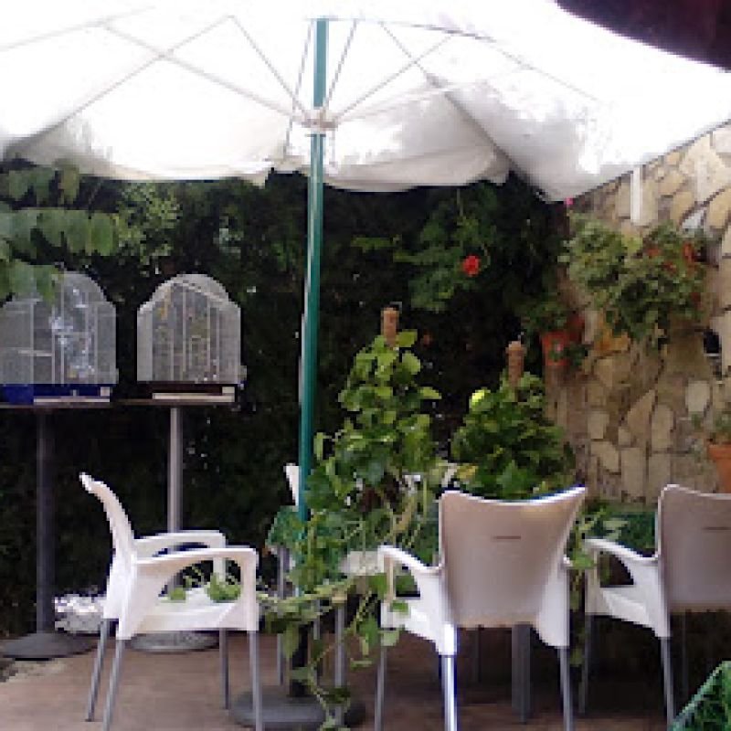 El Jardin Prohibido