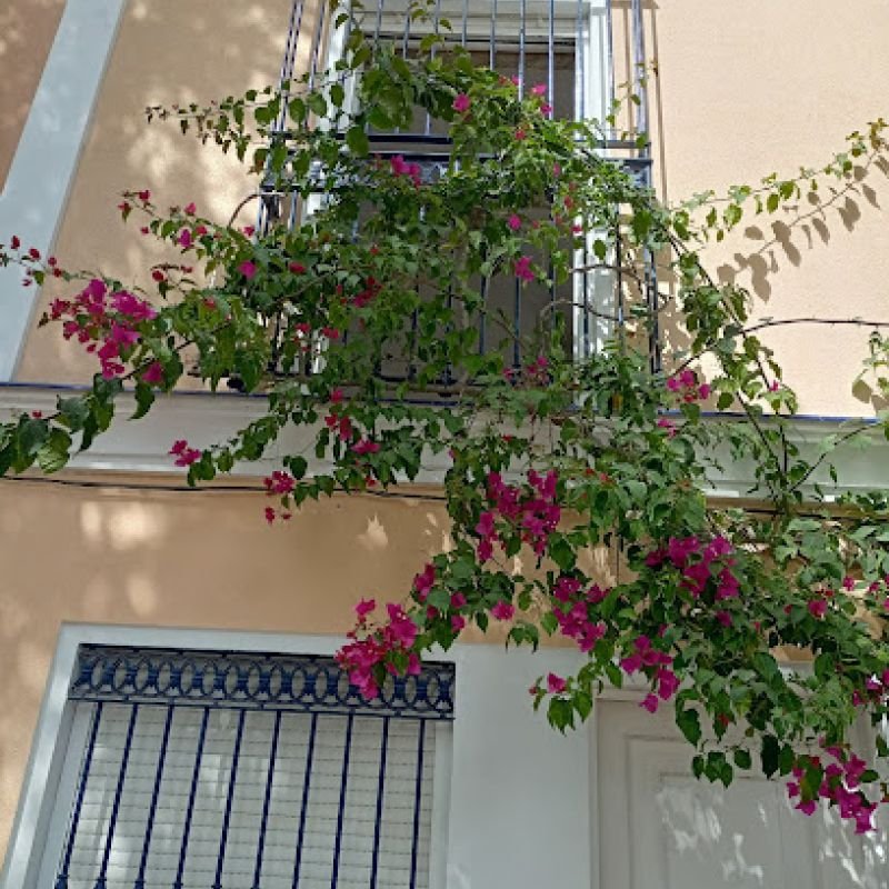 Hostal El Puerto Boutique