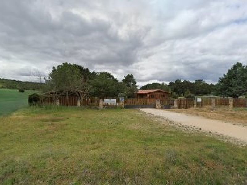 El Bosque