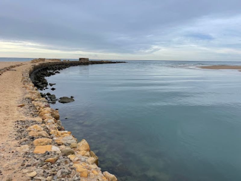 Barbate