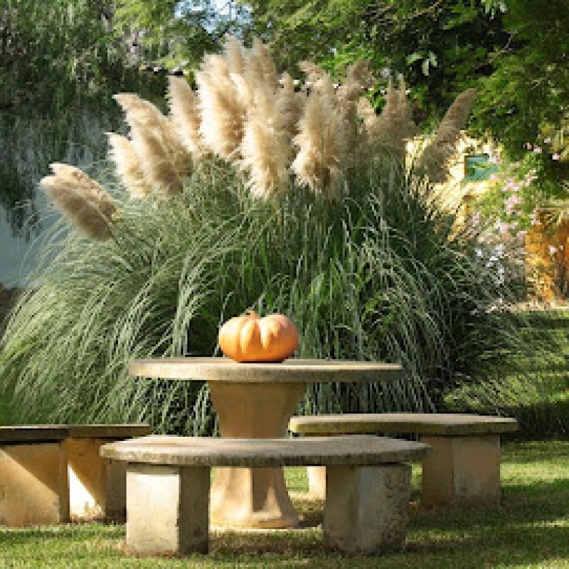 Finca La Hijuela Holiday Homes