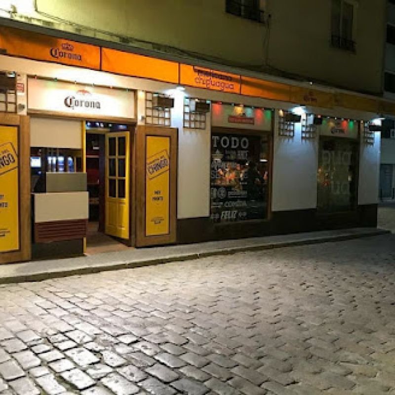 chiguagua CASA FELIZ