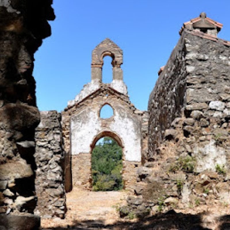 La Sauceda