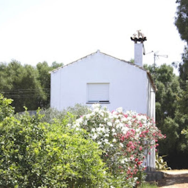 Casas El Hortelano