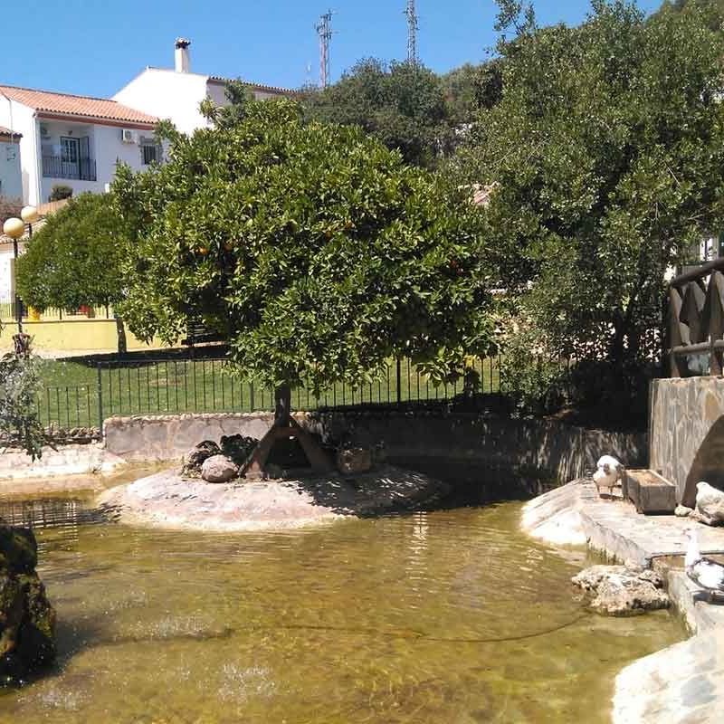 Prado del Rey