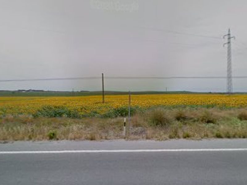 Villas Aloha Costaeste