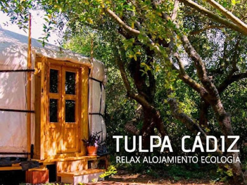 Tulpa Cadiz