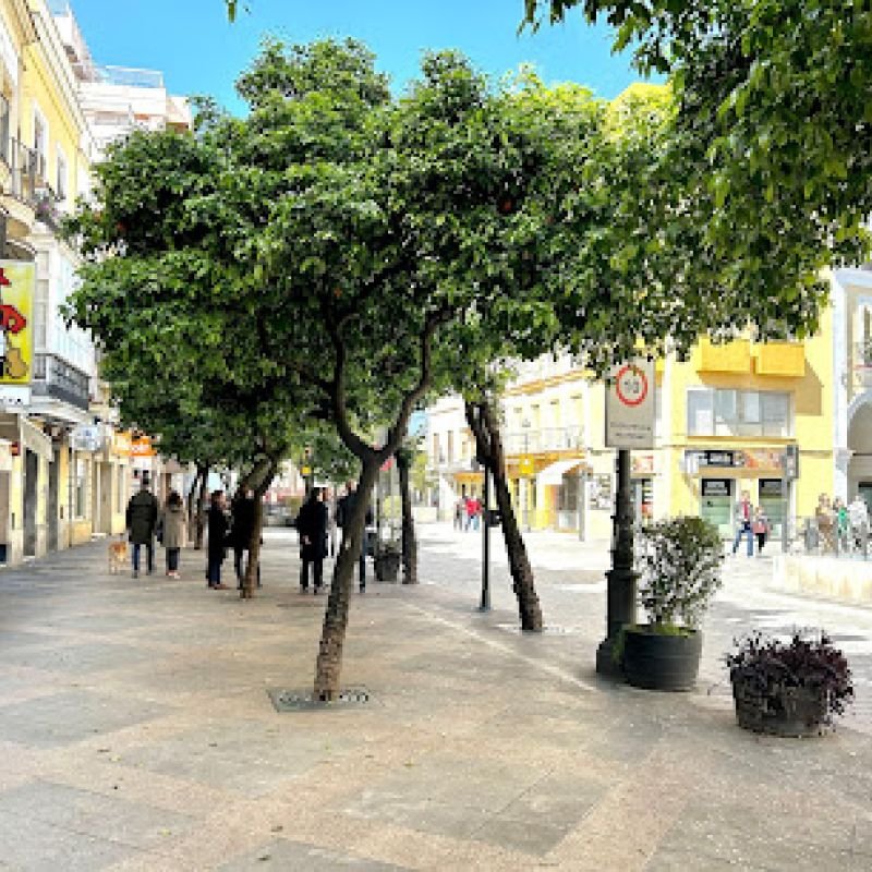 Alojanomadas Jerez Centro
