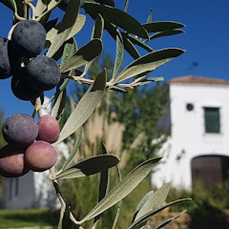 Finca Maravilla Verde, casa rural