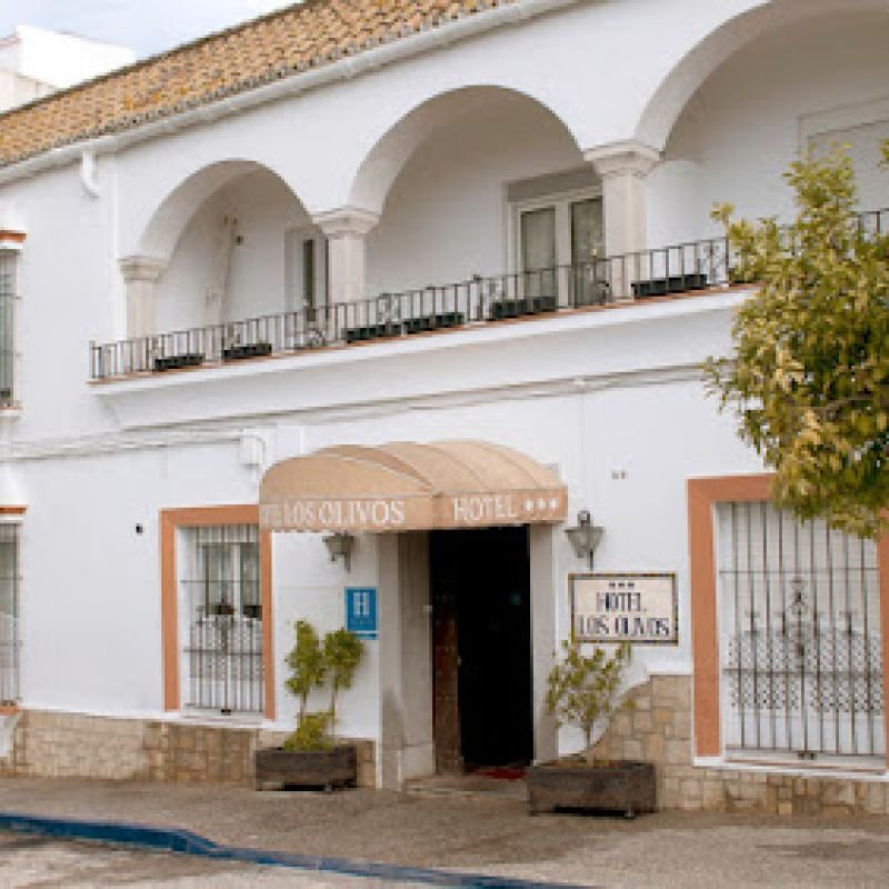 Hotel Los Olivos