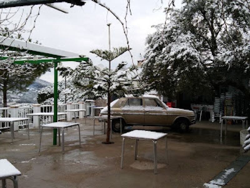 Venta Vina el Rubi