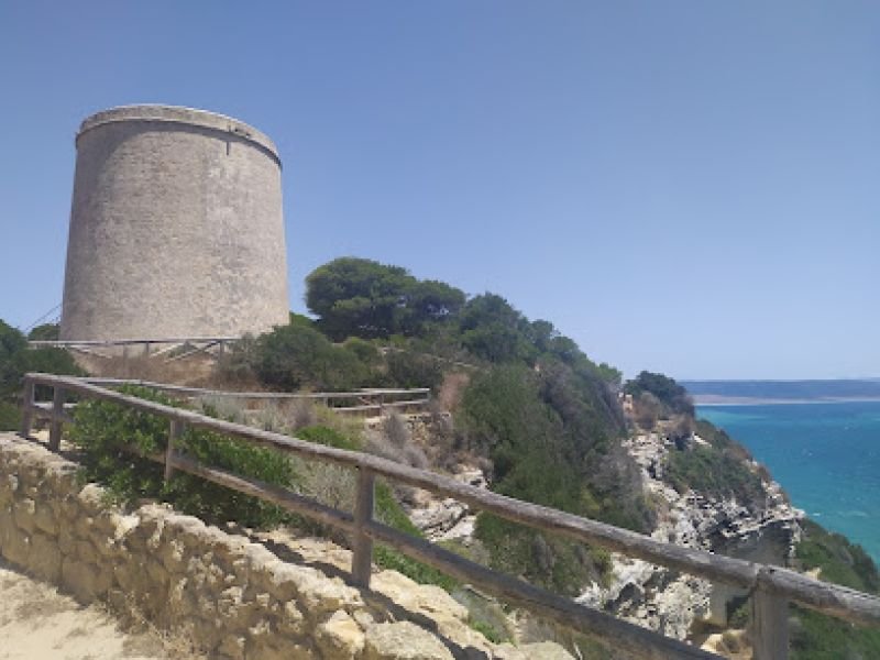 Pinar de La Brena (Barbate)