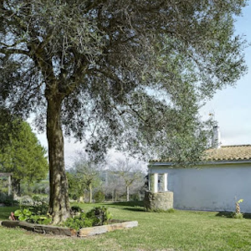 Finca Rural Casas santamaria