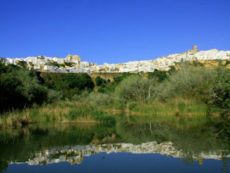 Casa Lomas
