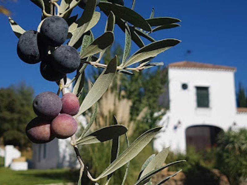 Finca Maravilla Verde, casa rural