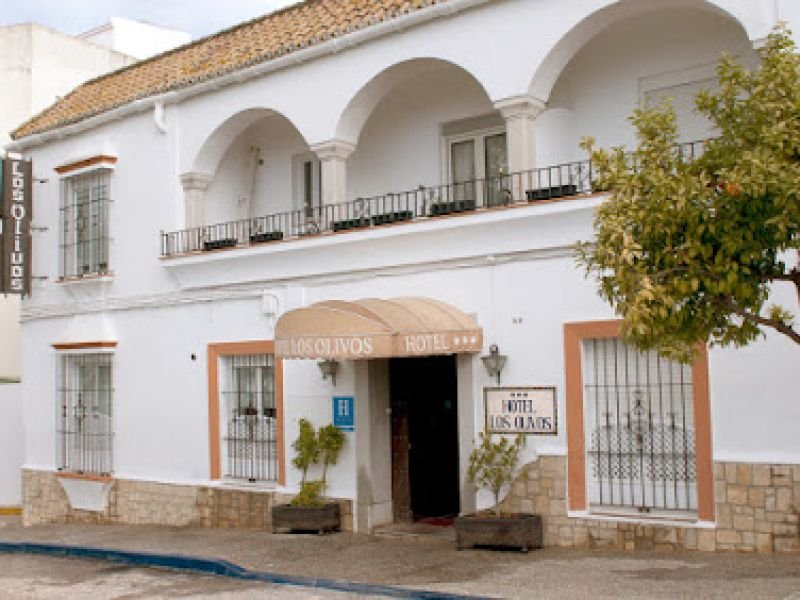 Hotel Los Olivos