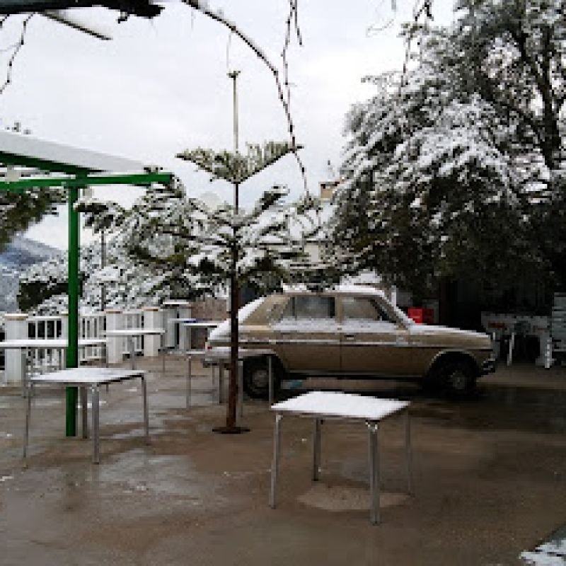 Venta Vina el Rubi