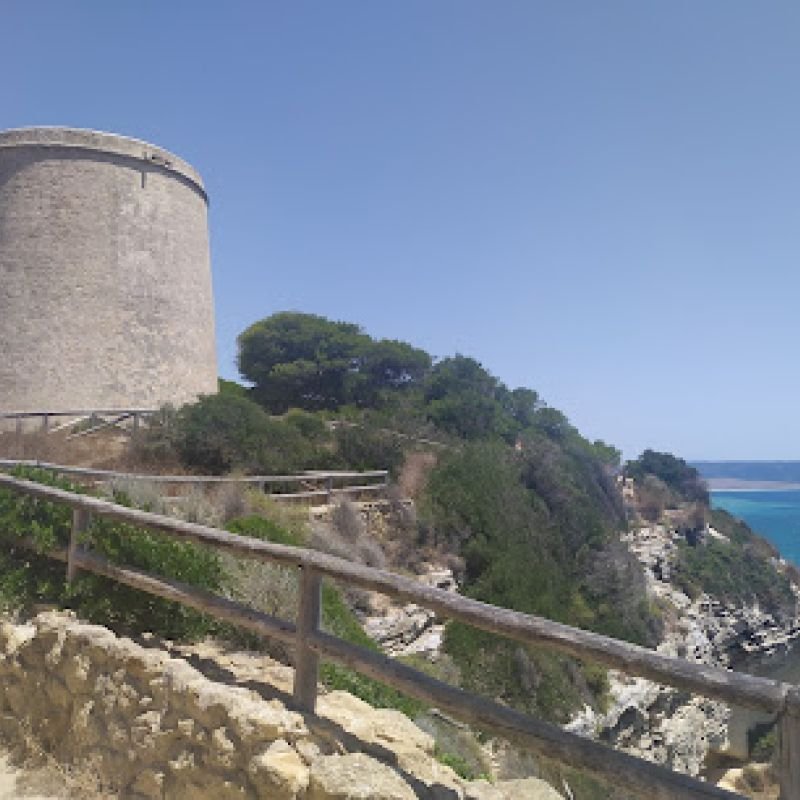 Pinar de La Brena (Barbate)