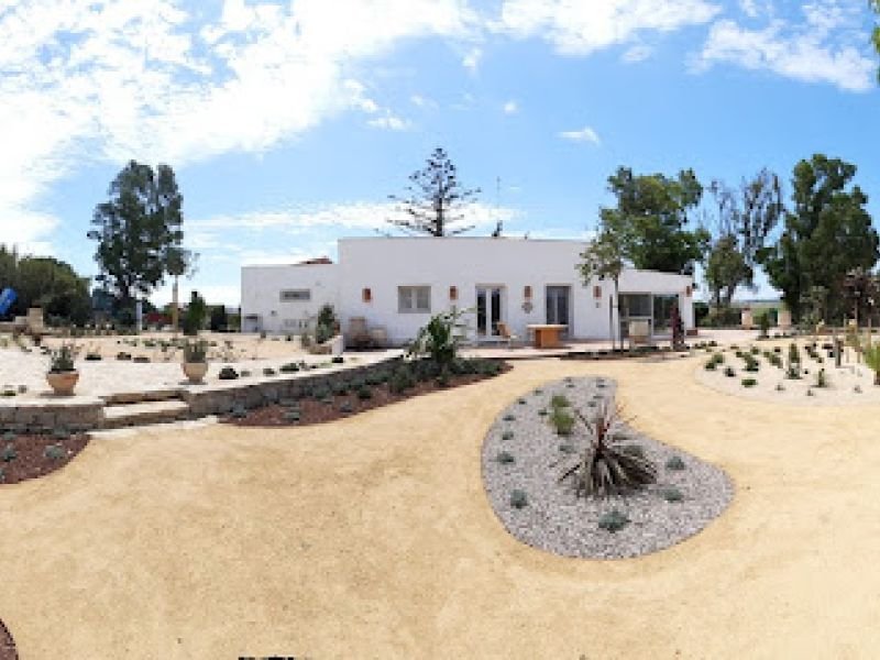 Milagro de Algar