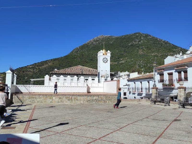 CASA EL CALLEJON DE BENAMAHOMA