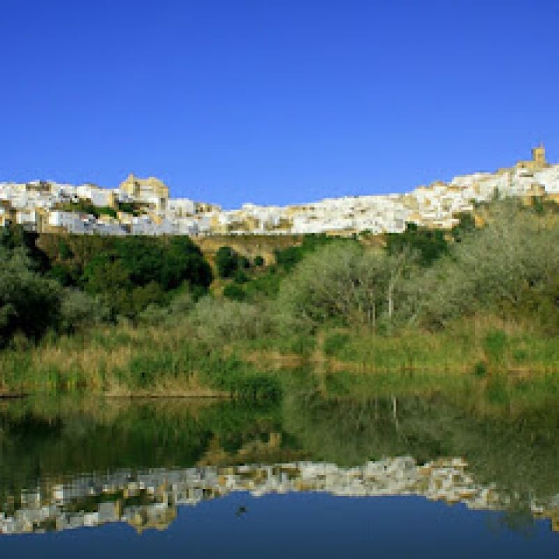 Casa Lomas