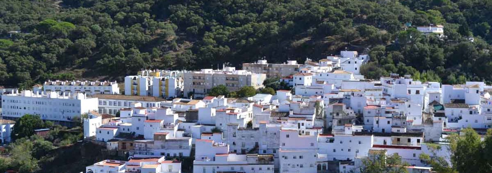 Alcalá de los Gazules